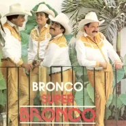 Súper bronco