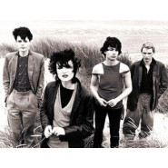 Siouxsie and the Banshees