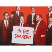 In the Snakepit