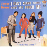 I Can't Stand Myself When You Touch Me