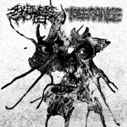 Sulfuric Cautery / Tolerance