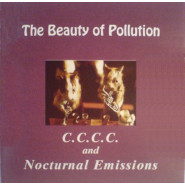 The Beauty of Pollution