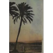 The Palm Leaves of Victory