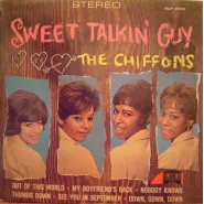 Sweet Talkin' Guy