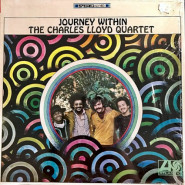 Journey Within