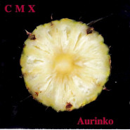 Aurinko