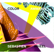 Color Wheel