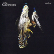 Falcon