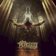 Tutor Of The Dying