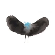 HAYWARDxDÄLEK