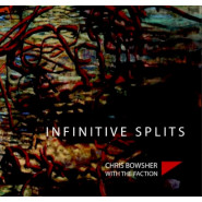 Infinitive Splits