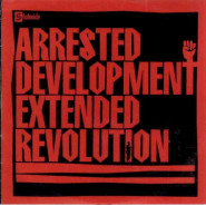 Extended Revolution