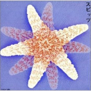 Spitz