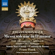 Messa solenne in D minor