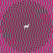 Cryptograms / Fluorescent Grey