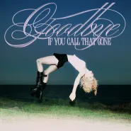 Goodbye (If You Call That Gone)