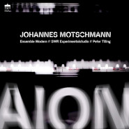 AION For Large Ensemble, Artificial Intelligence and Electronics