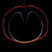 Wasp Star (Apple Venus Volume 2)
