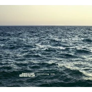 Following Sea