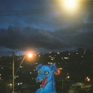 Odd Dog in the Capital
