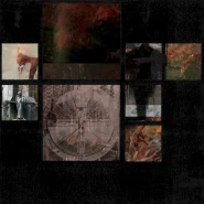 Division of Mind