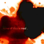 None of This Is Real