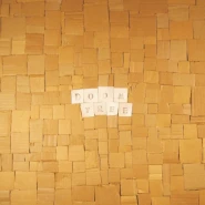 Doomtree
