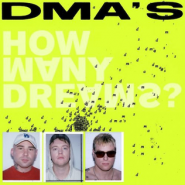 How Many Dreams?