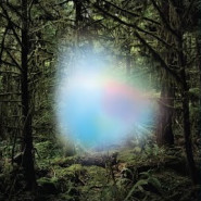 Ghosts of the Forest