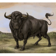 San Fermin