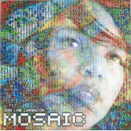 The Mosaic Project