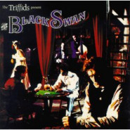 The Black Swan