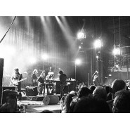 Nick Cave and the Bad Seeds