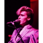 David Sylvian