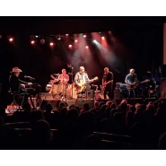 The Black Sorrows