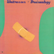 Bruiseology