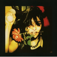 The Flowers of Romance
