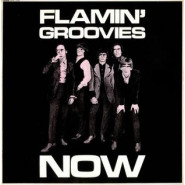 Flamin' Groovies Now