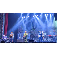 Squeeze (band)