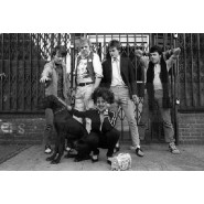 X-Ray Spex