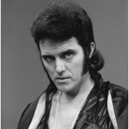 Alvin Stardust