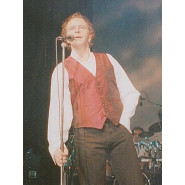 David Essex
