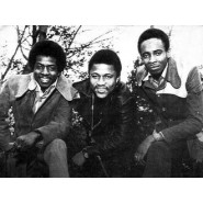 The Pioneers (band)
