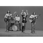 Middle of the Road (band)