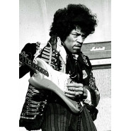 The Jimi Hendrix Experience