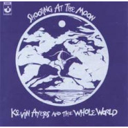 Shooting at the Moon
