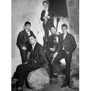 The Animals