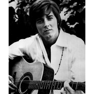 Bobby Sherman
