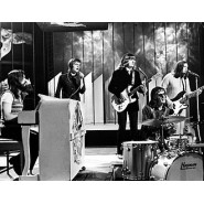 White Plains (band)