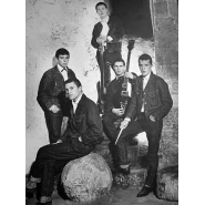 The Animals